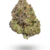 ⛽ AAAA MK Ultra