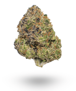⛽ AAAA MK Ultra