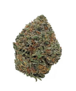 AAAA BC Rockstar