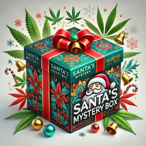 Santa's Mystery Box - Updated (3 Choices) - Xmas Sale