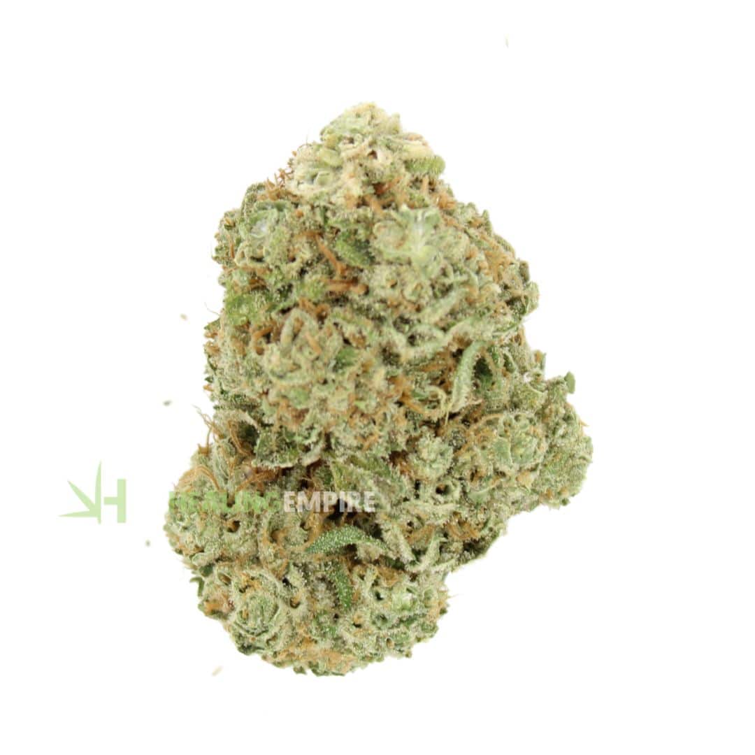 AAAA Truffle cake By KOOTENAY Exotics