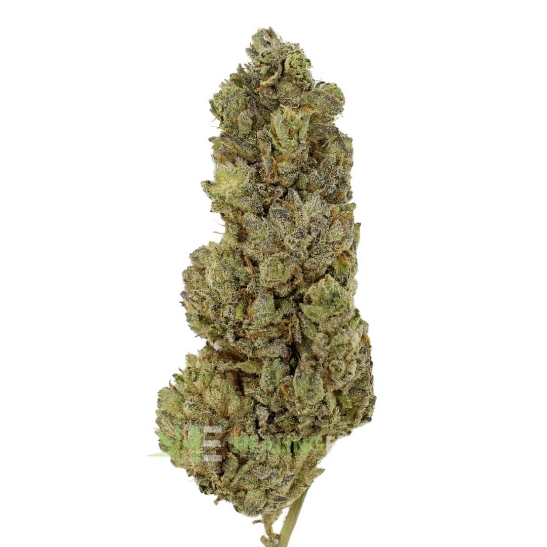 AAAA Relentless Cookies