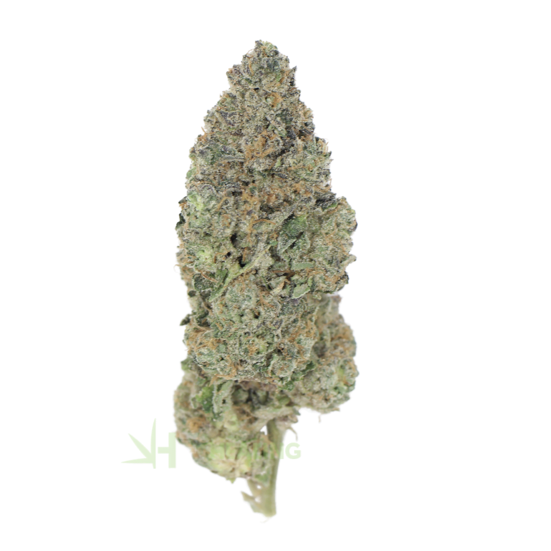 AAAA Nilla WaferZ By KOOTENAY Exotics