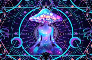 magic mushroom canada, shrooms, is shrooms legal in canada, online magic mushroom