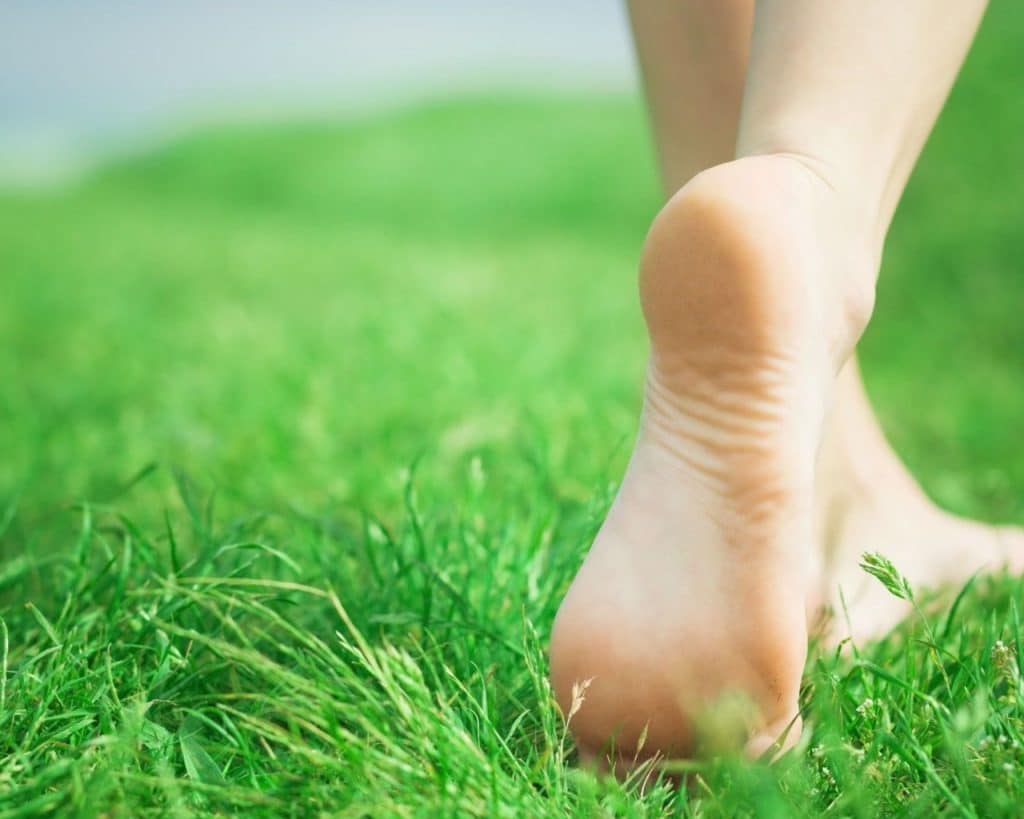 mushroom and nature, magic mushroom canada, psychedelic drug