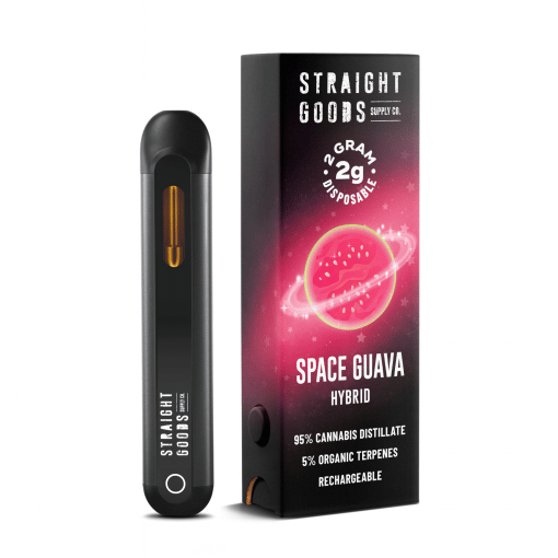 Straight Goods 2 GRAM Disposables – Space Guava