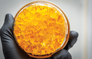 Live Resin, cannabis concentrate, terpenes, cannabinoids, Live Resin concentrate, edibles