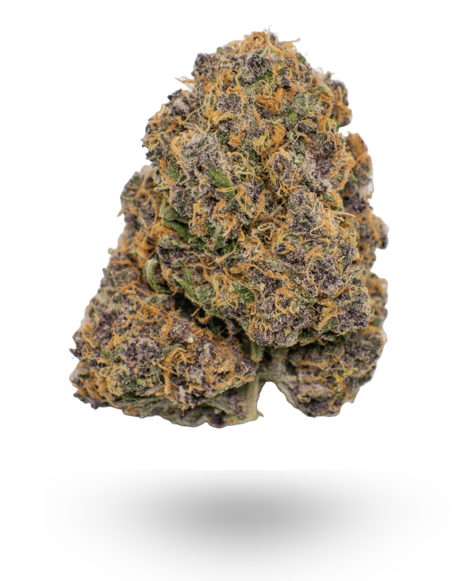 AAAA Jungle Breath By Jungle Boys