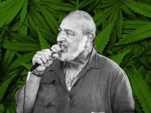 The History of Jack Herer, Jack Herer, strain, Sensi Seeds, Jack Herer Strain, Cannabis, Marijuana, Weeds, Cannabis strain