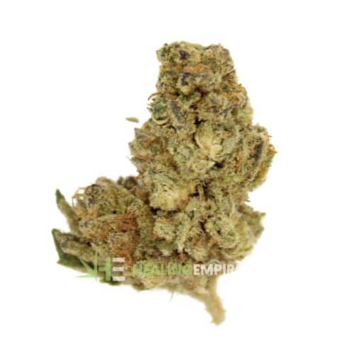 (A+) Ak-47 : Bulk Deal