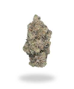 🏆 #1 Karma Cup: AAAA Purple Gusher
