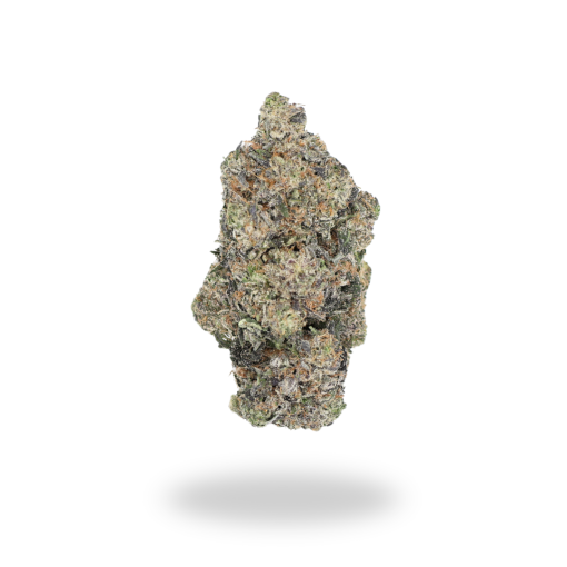 🏆 #1 Karma Cup: AAAA Purple Gusher