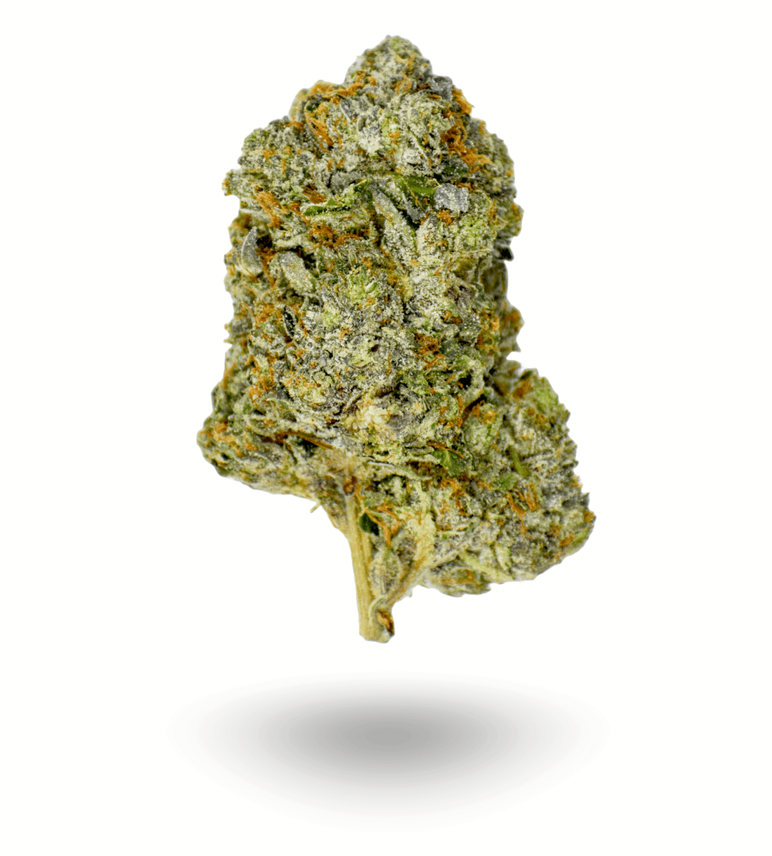 π Cannabis Cup: AAAA GAZ