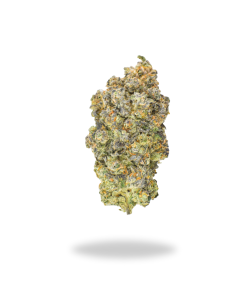 🏆#1 Karma Cup: AAAA Grape Cream Cake ☀️