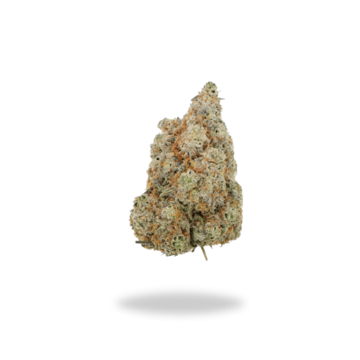 AAA Nuken