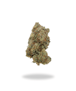 AAA Jet Fuel Gelato