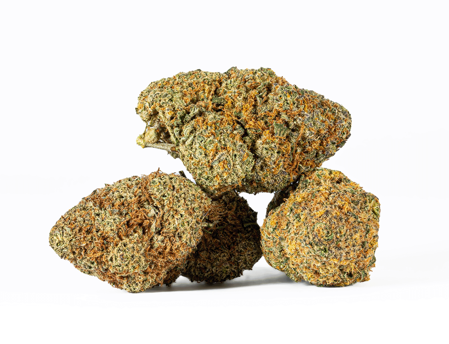 Astral Herbs – Chocoloco - Image 4