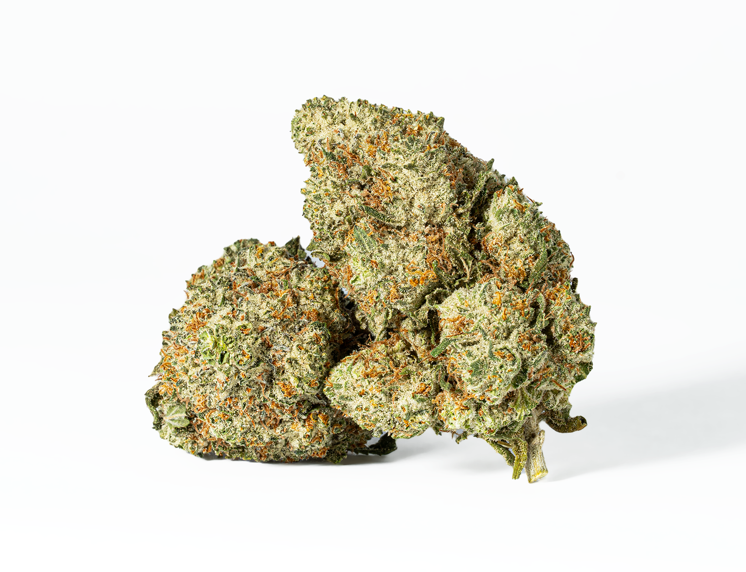 Astral Herbs - Gorilla Glue #4