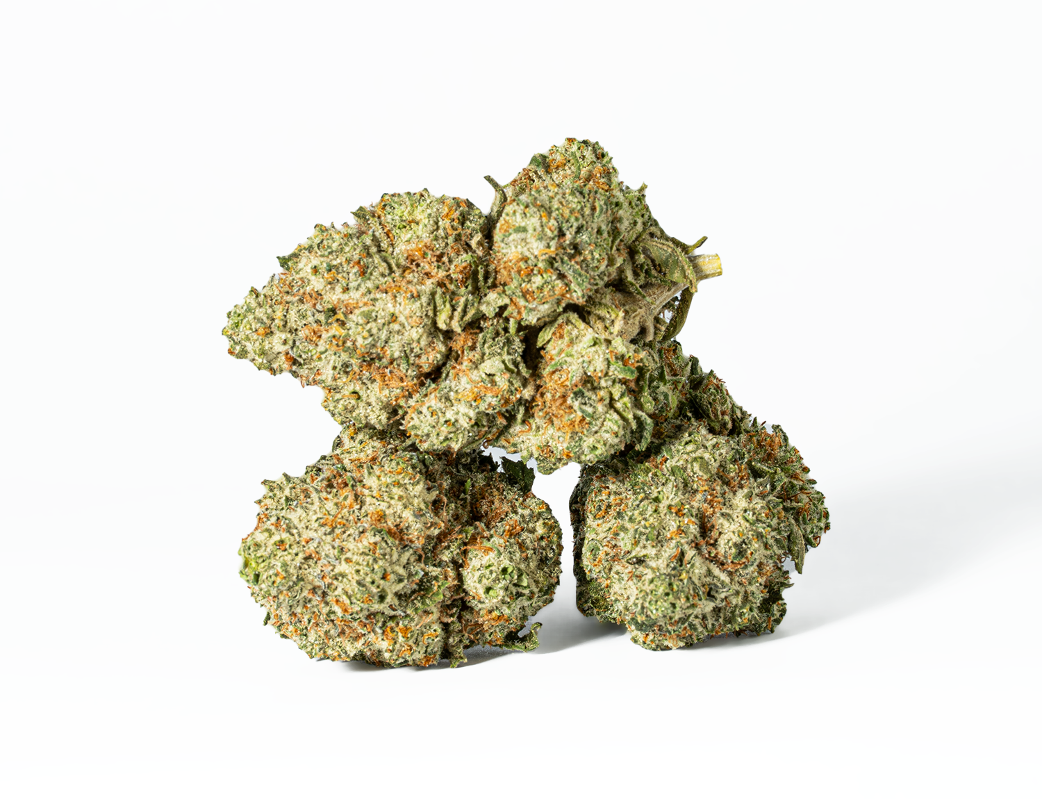 Astral Herbs - Gorilla Glue #4 - Image 4