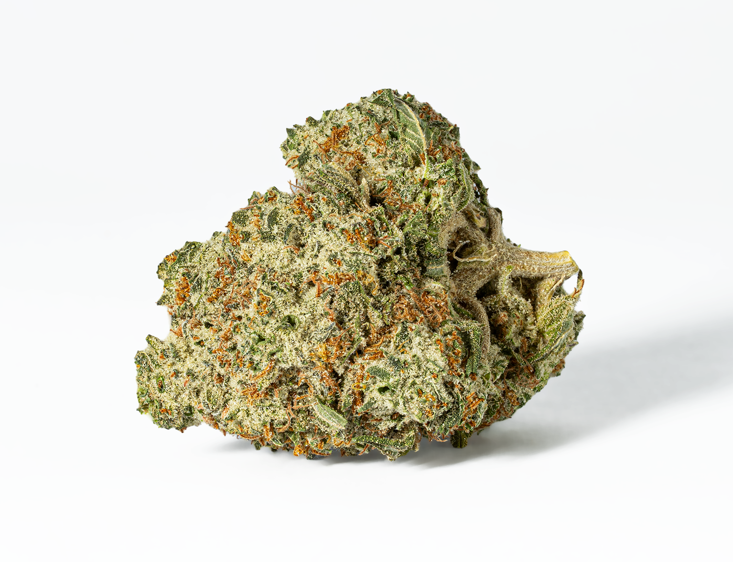 Astral Herbs - Gorilla Glue #4 - Image 2