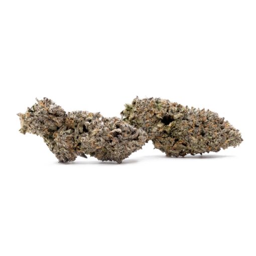 Jungle Ridge - Black Scotti - Image 3