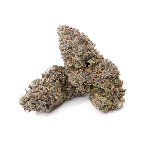 Jungle Ridge - Black Scotti - Image 2