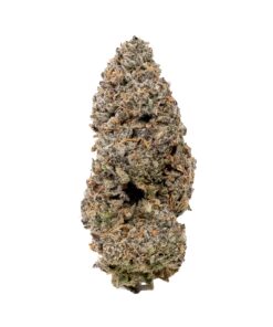 Jungle Ridge - Black Scotti