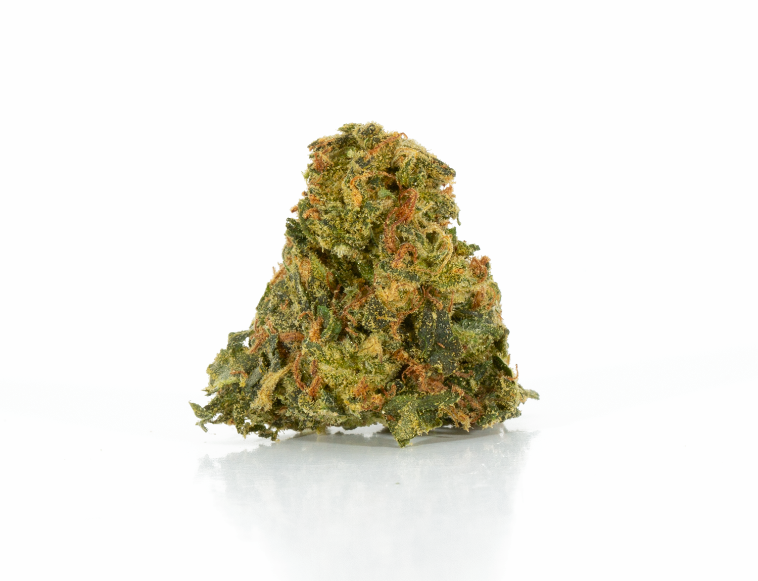 Astral Herbs - King Tut - Image 3