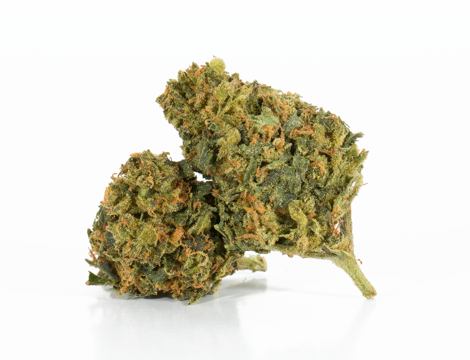 Astral Herbs - King Tut