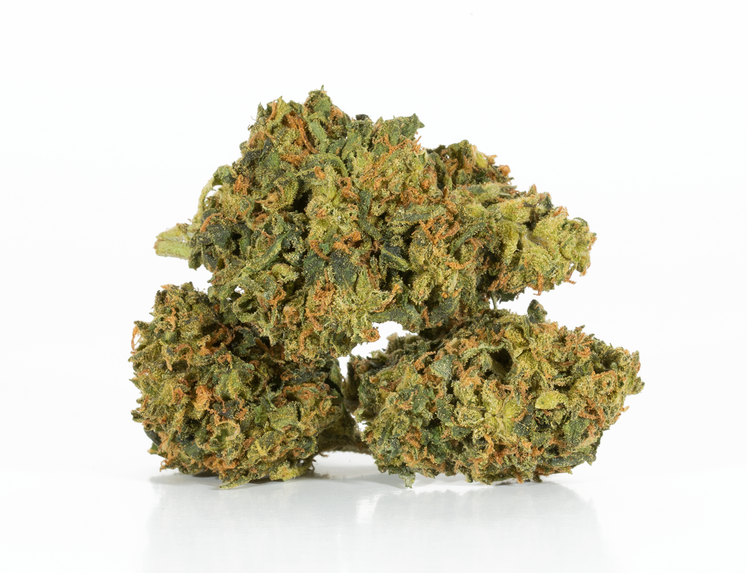 Astral Herbs - King Tut - Image 2