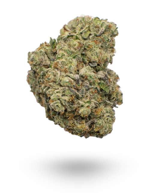 AAAA Sherbet by Cookies