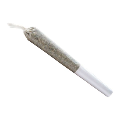 TOONIE DOOBIES (20/Pack) - Updated - Image 2