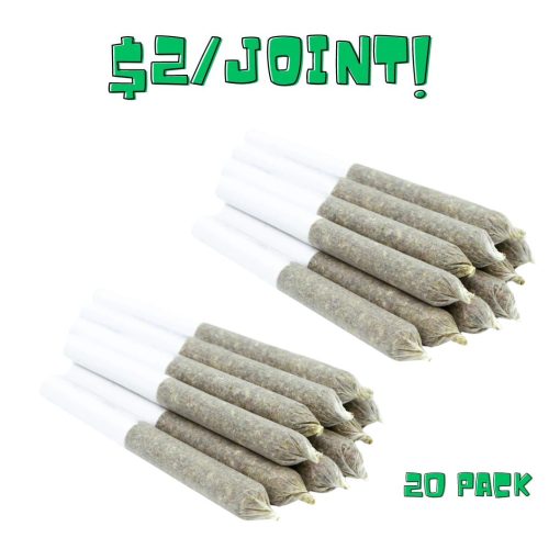 TOONIE DOOBIES (20/Pack) – Updated