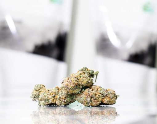 AAAA Gelato #41 - Image 2