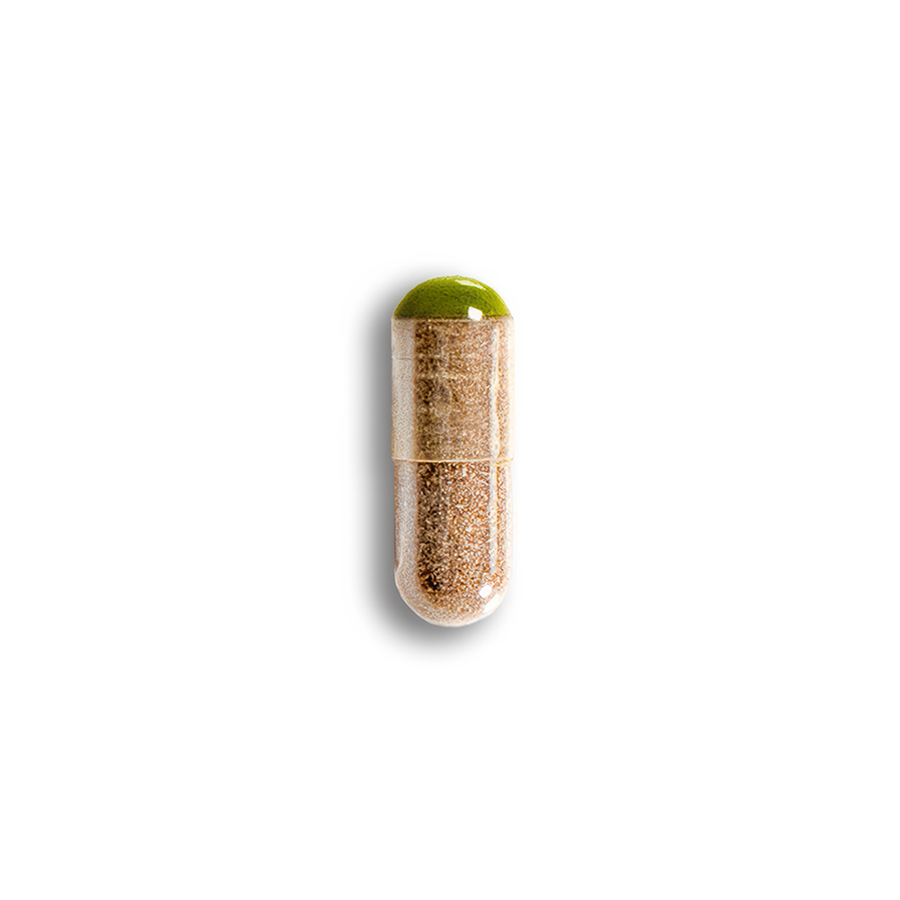 el micro – The Micro 125mg x 30 Capsules - Image 3