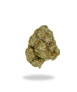 AA+ Gorilla Glue #4