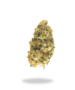AA PINK BUBBA
