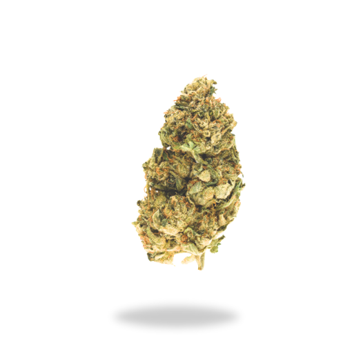 AA PINK BUBBA