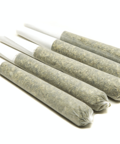 5 Pre Rolls