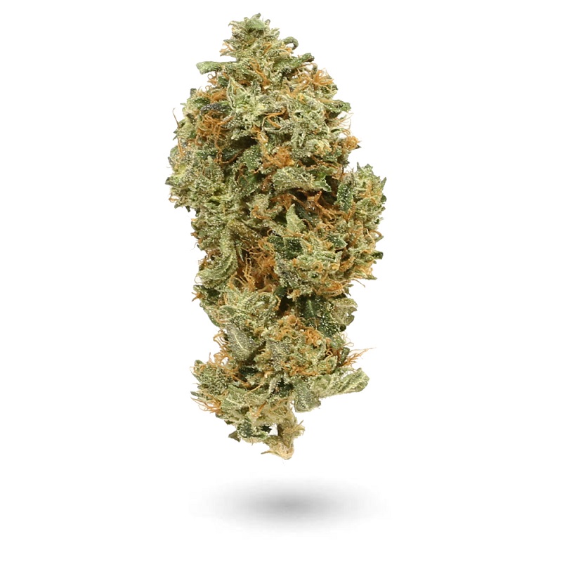 AA+ Pineapple Express