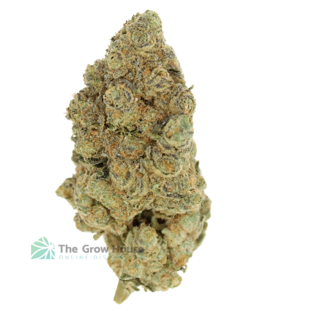 AAAA Afghani Bullrider By Kelowna Craft