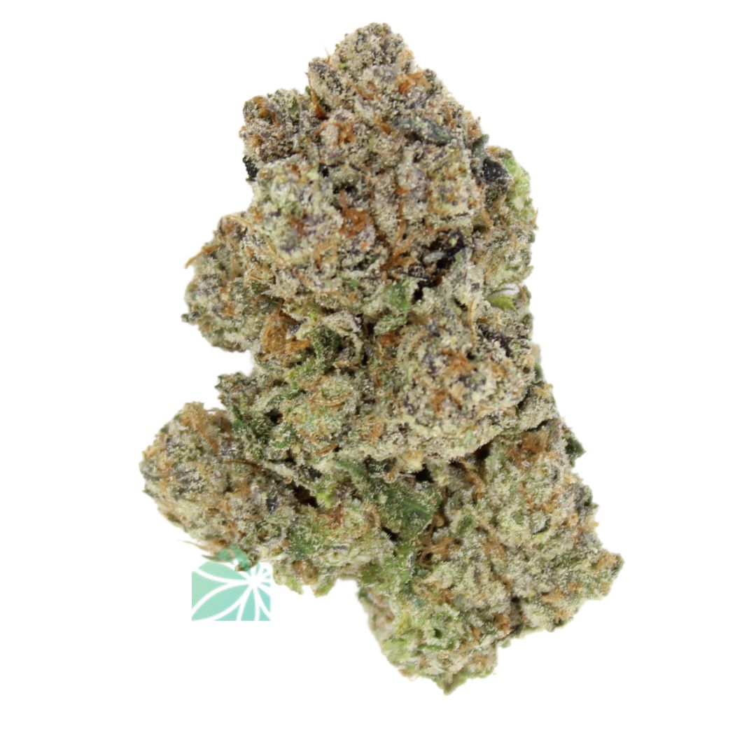 AAAA Gatorade By KOOTENAY Exotics ☀️