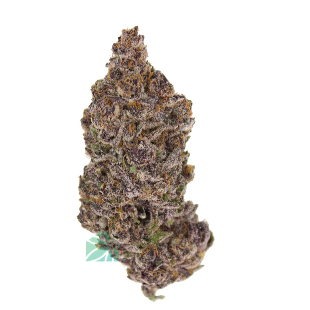 AAAA Tropicanna Gelato By KOOTENAY Exotics ☀️