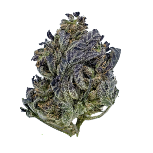Ounce Deal : (A+) Purple Kush