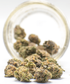 AA Granddaddy Purple Smalls
