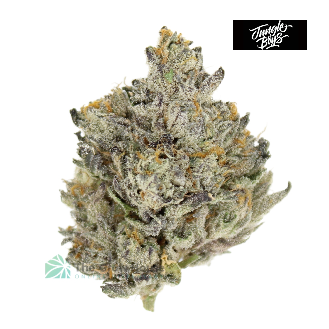 AAAA Jungle Breath By Jungle Boys