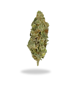 AA Acapulco Gold