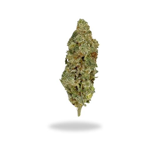 AA Acapulco Gold