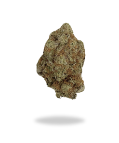 AA+ Black Indica