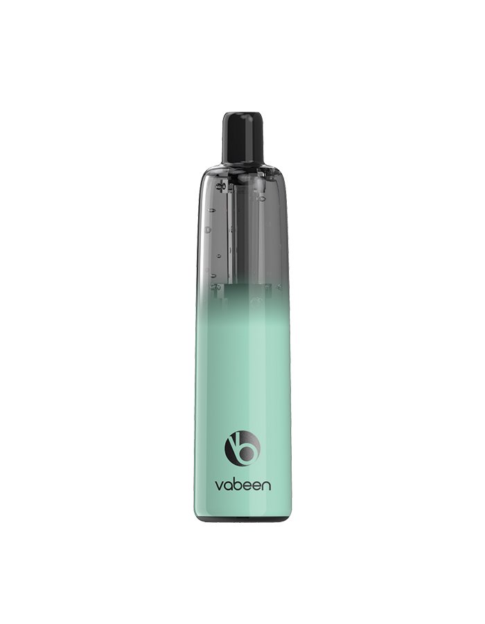 VABEEN PLUM | 5000 PUFFS New - Honeydew Punch